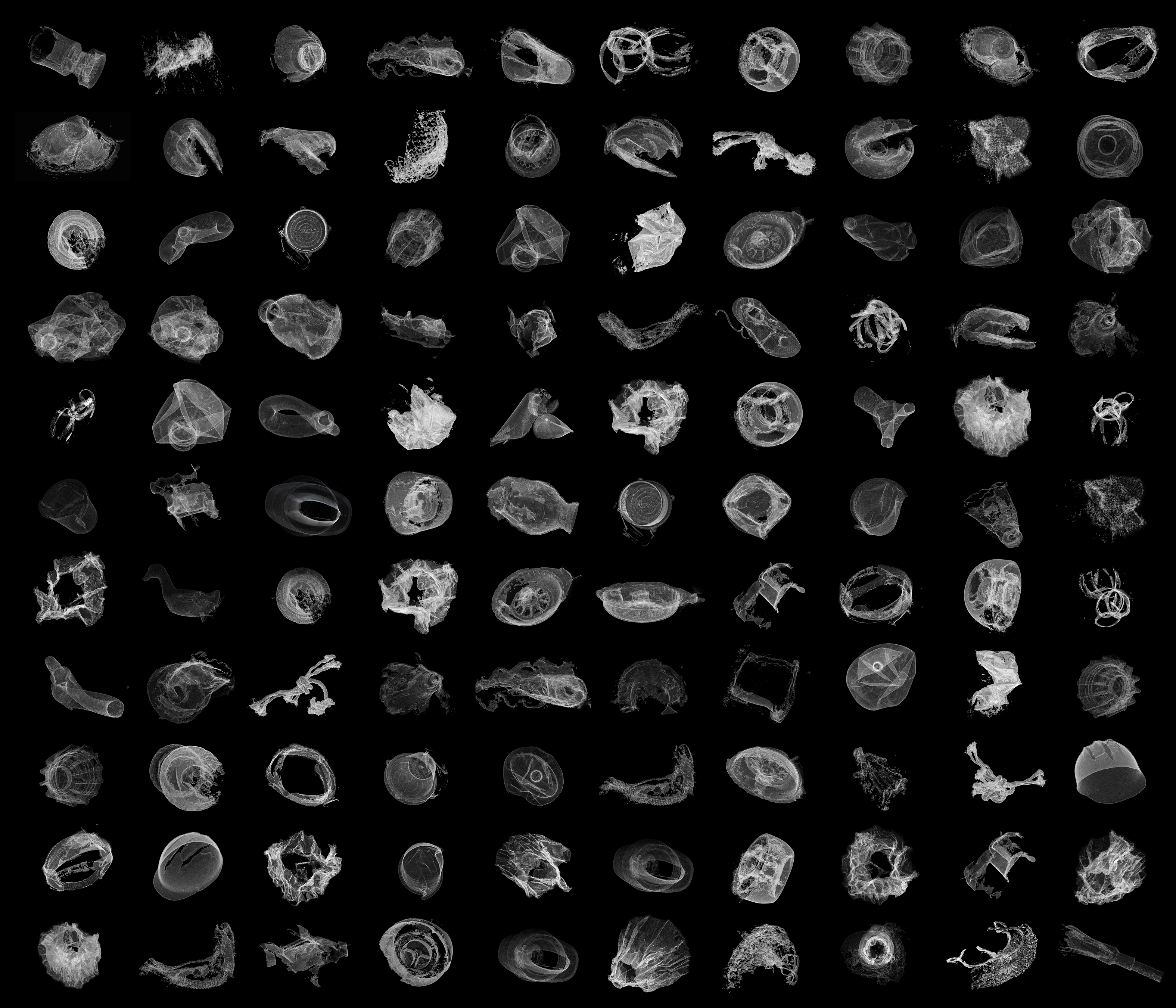 Plastic Species Overview